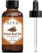 Siva Clove Bud Essential Oil - 1 Fl Oz - Natural Oil for Diffuser, Face, Skin Care, Aromatherapy, Massage