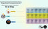 Inspiration Industry |7-Day Weekly Pill Organizer with Snap Lids Morn/NOON/Night |for Pills, Vitamin.