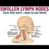 Meifen 3 Pack Lymphatic Drainage Ginger Oil, Ginger Massage Oil to Promote Blood Circulation,Suitable for Body Massage