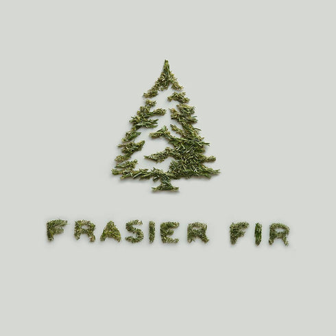 Thymes Frasier Fir Bar Soap, Pine Tree Scented Hand and Body Soap, 5.5 oz