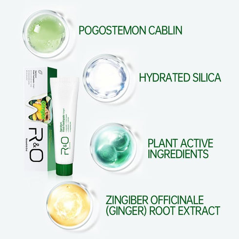 Le Vital 3.53 oz Hygiene(3 Pack) R&O Long-Lasting Fresh Ginger Mint Toothpaste, - Removes Dental Plaque, Relieves Oral