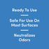 Bioesque Advanced Odor & Stain Remover with Enzymes, 32 Fl Oz (Pack of 1)