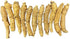 Hand-Selected A Grade American Ginseng, Medium Thin-Short Size, 4 Oz. Box