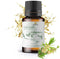 Cajeput Essential Oil, 15ml, Essential Oils for Diffusers, Aromatherapy, 100% Pure Therapeutic Grade