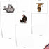 The Best Card Company - 20 Blank Yoga Animal Cards (4 x 5.12 Inch) - Kids Set (10 Designs, 2 Each) - Zoo Yoga
