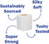 Repurpose 100% Bamboo Toilet Paper - 3 Ply, Tree Free, 12 Rolls, 300 Sheets per Roll, FSC Certified