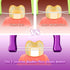 Evolutionary Clean Dental Flossers - Kit of Refills Plus Long Handle (2 Handles + 200 Refills)