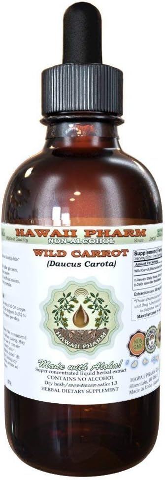 Hawaii Pharm Wild Carrot Alcohol-Free Liquid Extract, Wild Carrot (Daucus Carota) Dried Seed Glycerite