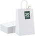 GSSUSA White Paper Bags, 5.25x3.75x8, 20 Pcs, Small Gift Bags with Handles for Shopping, Craft, Grocery