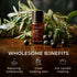 Gya Labs Juniper Berry Essential Oil for Diffuser - 0.34 Fl Oz - 100% Pure Natural Oil for Skin & Candle Making