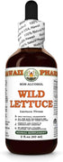 Hawaii Pharm Wild Lettuce (Lactuca Virosa) Dry Herb Glycerite, All Natural, Vegan, Lab Tested