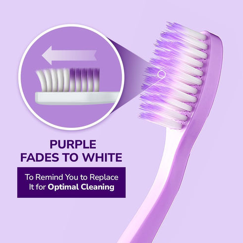 HIMALAYA PINKSALT Purple Toothbrush, Medium Toothbrushes for Adults, Gentle Plaque Remover with Tapered Bristles