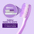 HIMALAYA PINKSALT Purple Toothbrush, Medium Toothbrushes for Adults, Gentle Plaque Remover with Tapered Bristles