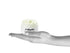 Raya Revitalizing Cream (307), Moisturizing Facial Day and Night Cream for Dry Skin, Reduces Fine Lines