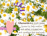 Calming Lavender 2-in-1 Bubble Bath & Wash by Babo Botanicals - Relaxing Chamomile & Lavender - EWG Verified - Vegan -