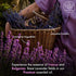 Majestic Pure Lavender Essential Oil, 4 Fl Oz - 100% Pure with Glass Dropper - Premium Grade for Diffuser