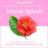 Summer's Pack, (4ct), (4ct) (2 Eve Feminine Cleansing Douche, Variety Island Splash Extra Cleansing Vinegar and Water
