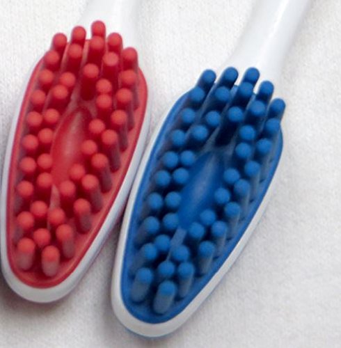 Shabbos Toothbrush, Kosher for Year Round and Passover, 1 Toothbrush