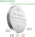 ECR2032 3V Lithium Coin Cell Battery CR2032, 100 Pack