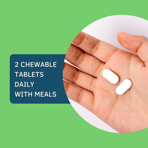 Bioxtron AFA Stem Cell Supplement Chewable Tablets, 60 Tablets - Joint Support & Muscle Pain Relief