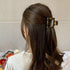 MagicSky 4PCS Hair Claw Clips - Acrylic Hair Banana Barrettes, Celluloid French Butterfly Jaw Clips, Tortoise Shell