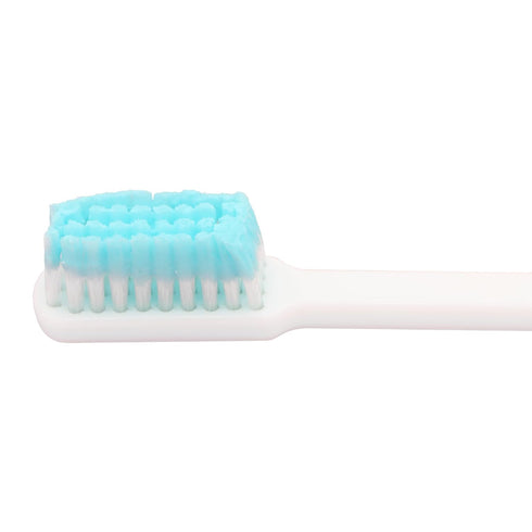 Prepasted Reusable Toothbrush, 30 Pack, Made in the USA