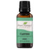 Plant Therapy Cypress Essential Oil 30 mL (1 oz) | 100% Pure, Undiluted, Natural Aromatherapy, Therapeutic Grade