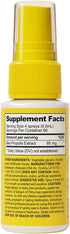 Propolis Throat Spray by Beekeeper's Naturals, Natural Immune Support & Sore Throat Relief, 1.06 oz