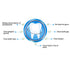Double-Head Toothpick - 1100pcs Teeth Cleaning Tool Portable for Tooth Care
