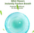 Mini Brushes - Disposable Toothbrushes with Toothpaste, Portable for Work or Travel, 2 Packs (Mint, 40 pcs)