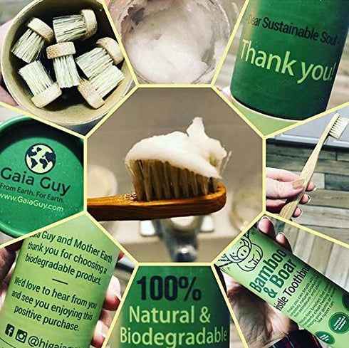 Gaia Guy Natural Bristle Bamboo Toothbrush 6-Pack, Compostable & Biodegradable Boar Bristle and Bamboo