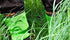 Stretch Mesh
