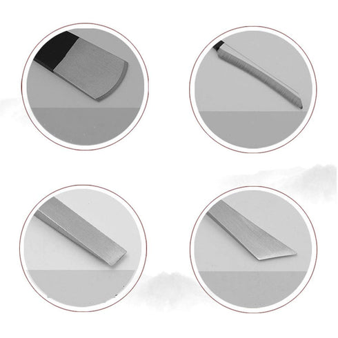 Pedicure Knife Set, 4Pcs Professional Stainless Steel Ingrown Toenail Tools with Storage Bag