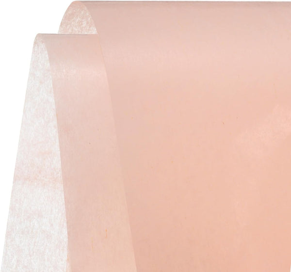 MECCANIXITY Tissue Gift Wrapping Paper Light Champagne 19.69x27.56 Inch for DIY Crafts, Pack of 100