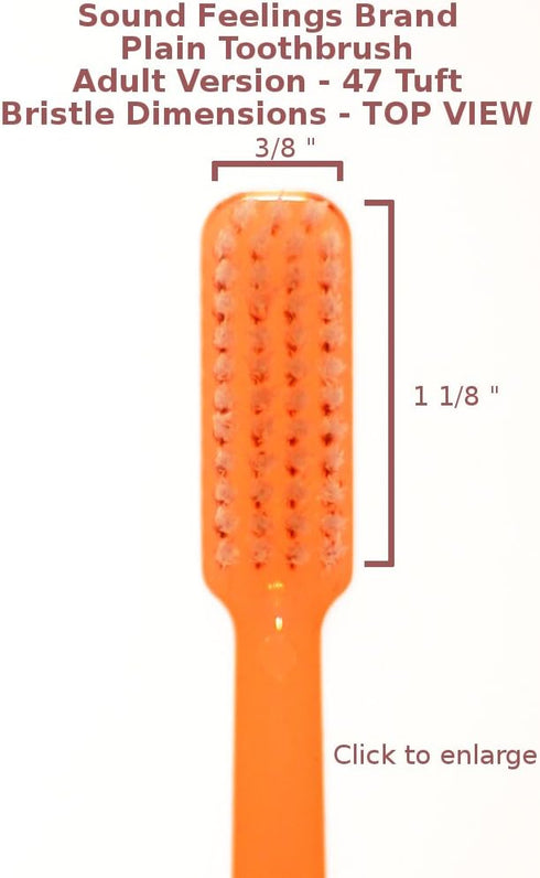 Basic Toothbrush, Medium, 1-Pack (Single), Adult