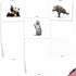 The Best Card Company - 20 Blank Yoga Animal Cards (4 x 5.12 Inch) - Kids Set (10 Designs, 2 Each) - Zoo Yoga
