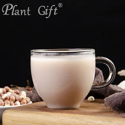 Plant Gift 100% 100G/3.25oz Pure Euryales Semen Powder Natural Gorgon Fruit Flour, Great Flavor for Drinks,Adds Flavor