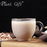 Plant Gift 100% 100G/3.25oz Pure Euryales Semen Powder Natural Gorgon Fruit Flour, Great Flavor for Drinks,Adds Flavor