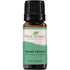 Plant Therapy Sweet Fennel Essential Oil 10 mL (1/3 oz), 100% Pure, Undiluted, Therapeutic Grade