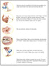 Gishy Goo! Dental Wax Replacements for Orthodontics, Pain Relief, Bubblegum Flavor, 1 Patient Syringe Kit