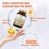 Vitamin B12 (Methylcobalamin) 5000 mcg, Folic Acid (Vitamin B9 Folate) 120 Chewable Tablets for Cirrhosis and Liver