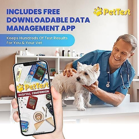 PetTest Control Solution for Blood Glucose Test Meter | 4ml Bottle for Diabetic PetTest Monitor