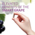 Youngevity Premium Muscadine Grape Seed - 650 mg Antioxidant Superfood, Rich in Resveratrol, 60 Servings
