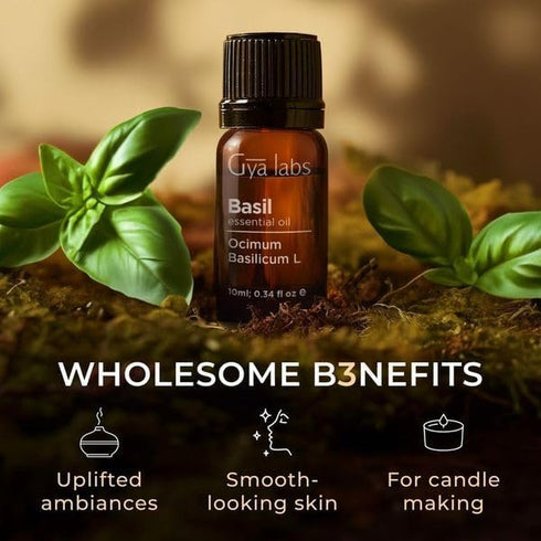 Gya Labs Basil Essential Oil for Diffusers - 0.34 Fl Oz 100% Pure Natural Oil for Skin & Candles