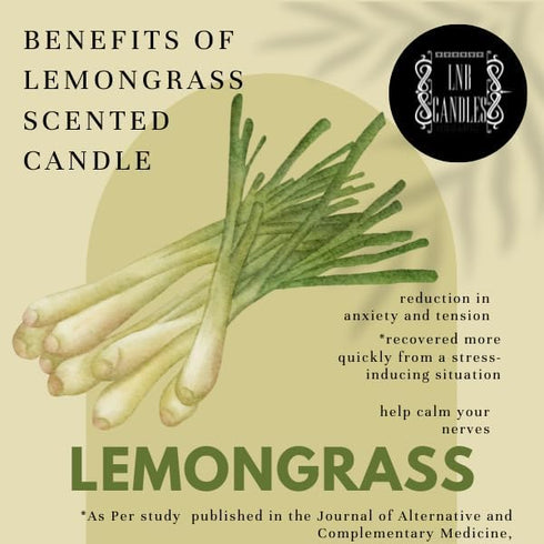 LNB Candles Premium Lemongrass Soy Wax Candle Clean Ingredients Made in USA Product Long Burn Time Stress Relief