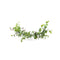 Wedding Bridal Camellia Hair Comb, Ranunculus Green Leaf Floral Clip Headpiece 2033