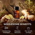 Set Set 2x0.34 oz Bay Leaf & Ginger Essential Oil - Aromatherapy Grade Essential Oils - fl - Gya Labs
