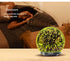 Serenity 200ml 3d Essential Oil Diffuser Arise Colorful LED light effect Glass Diffuser Cool Mist