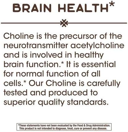 Nature's Way Choline 500 mg, 100 Tablets, Pack of 2 for Health Supplement