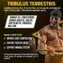 13in1 Tribulus Terrestris Capsules - 16000mg with Maca, Horny Goat Weed, Panax Ginseng & More, 120 Counts
